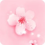 9幺免费版