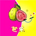 69视频软件下载入口