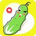 爱情岛论坛独家版app