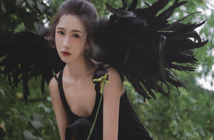 社区生态构建